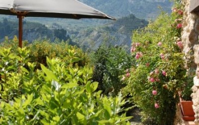 Mairose DSC_1227 2. Blüte.JPG (68.54 KiB) 4159 mal betrachtet Mairose (2. Blüte), rechts im Fenster die knospende Discounterrose