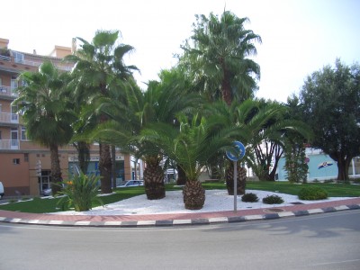 CIMG5851.JPG (1.42 MiB) 3579 mal betrachtet Kreisverkehr in Dénia