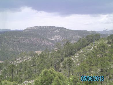 PICT3272.JPG