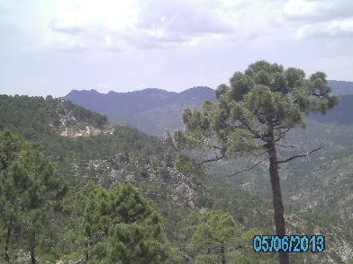 PICT3271.JPG