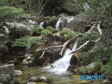 PICT3323.JPG