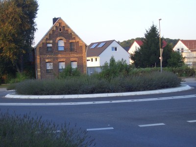 CIMG5934.JPG