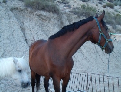 Destiny y Charly Prince