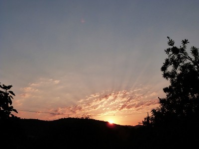 P1170170.JPG
