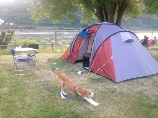 Camping.JPG