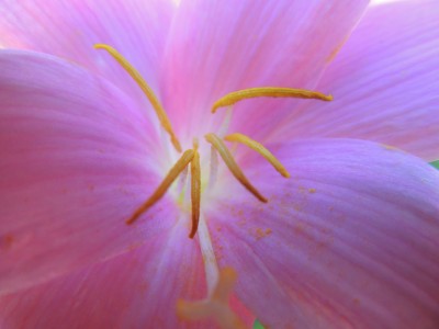 DSCN3046.JPG