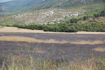 DSC_0160.JPG
