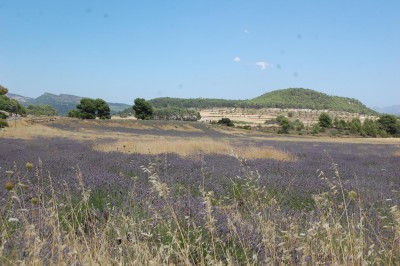 DSC_0163.JPG