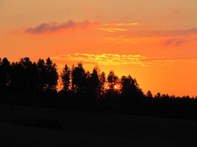 IMG_0076.jpg