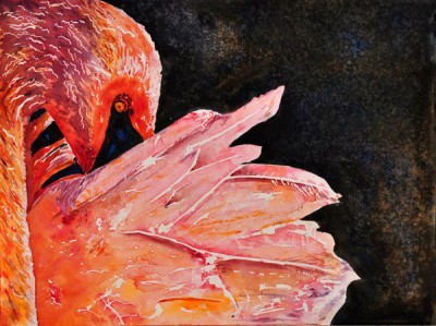 Flamingo