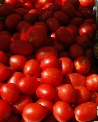 Tomates.JPG
