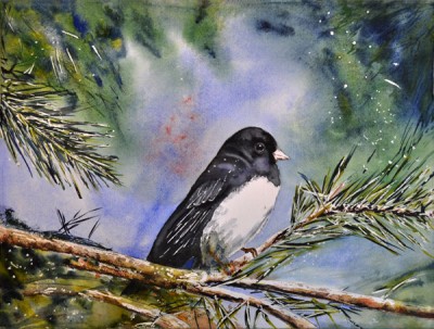 Sperling Junco 2.jpg