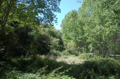 26 Grund DSC_0680.JPG