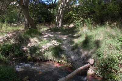 29 weiter geht es DSC_0693.JPG