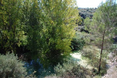 37 zurück zum Ausgangspunkt DSC_0730.JPG