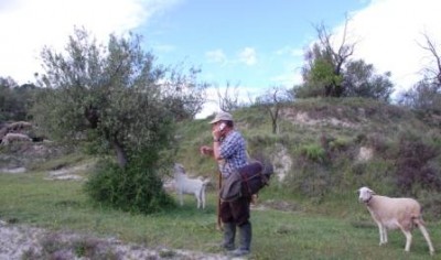 Moderner Schäfer mit Handy am Ohr