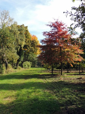 DSCN3150.JPG