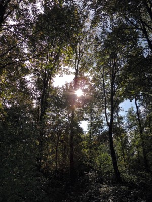 DSCN3158.JPG