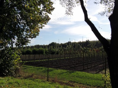 DSCN3165.JPG