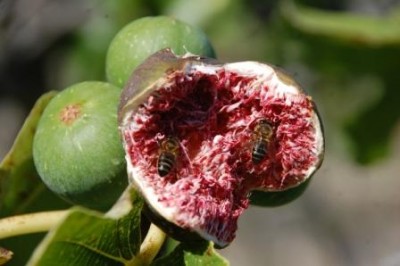 Rätsel 1.JPG (50.82 KiB) 2873 mal betrachtet Alles klar?