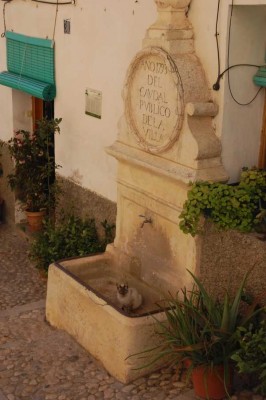 Idyllisch: Katze im alten Brunnen