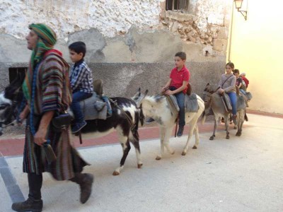 A Eselreiten für die Kleinen.JPG (56.81 KiB) 5677 mal betrachtet Eselsritt