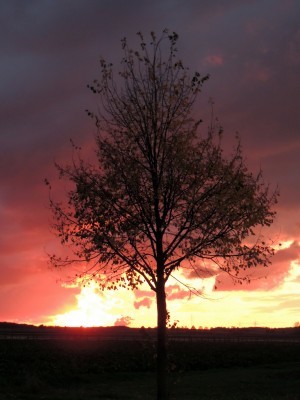DSCN3177.JPG