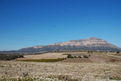 DSC_0422 Montgo.JPG