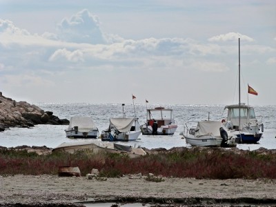 P1220163.JPG