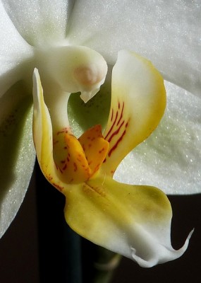 P1220531.JPG