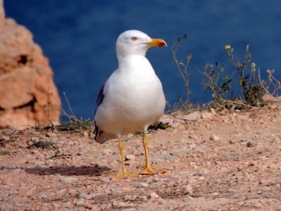 Was ist da denn los?