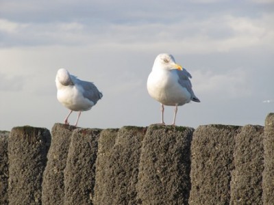 Also, bei der Morgentoilette muss ich jetzt nicht wirklich zusehen...