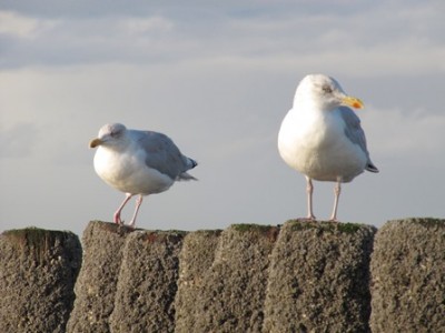 Bist du jetzt beleidigt oder was?