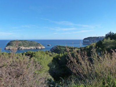 P1110175.JPG