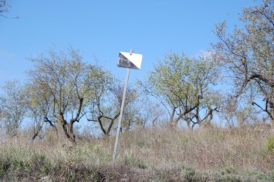 Jagd1.JPG (132.51 KiB) 6677 mal betrachtet Jagdschild