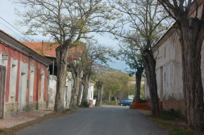 Die  Hauptstraße, Grenze zwischen den Gemeinden Sax und Villena