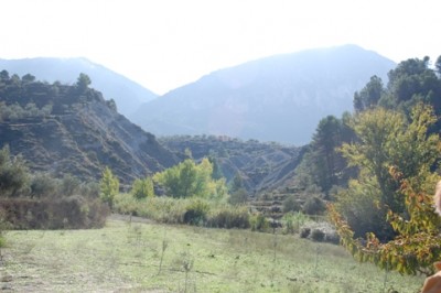 1Von zu Hause aus.JPG (108.38 KiB) 2073 mal betrachtet Von zu Hause aus