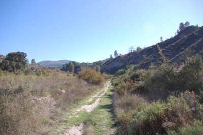 4 und gut begehbaren Wanderwegen.JPG (108.88 KiB) 2388 mal betrachtet doch auf den gut angelegten Wirtschaftswegen ließ es sich wunderbar wandern.