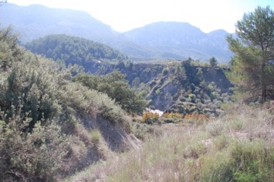 7 vorbei.JPG (119.95 KiB) 2073 mal betrachtet Durch sanfte Hügel ging es vorbei an