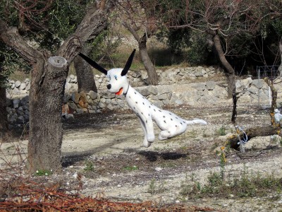 DSCN3511.JPG