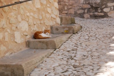 11 dösenden Dorfbewohnern.JPG (122.44 KiB) 2073 mal betrachtet Mttags begegnete uns nur dieser dösende Dorfbewohner
