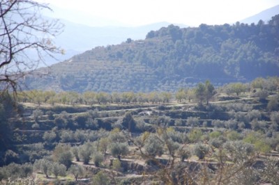 14 immer weiter in die Höhe.JPG (135.2 KiB) 2073 mal betrachtet und immer weiter stiegen wir die Berge hinauf,