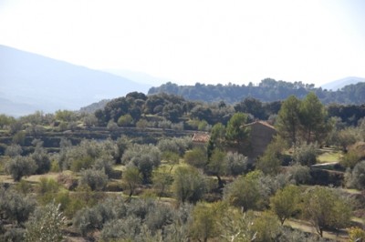 16 mit Oliven-, Mandel- und Obstbäumen.JPG (111.66 KiB) 2073 mal betrachtet Wir überquerten Oliven-, Mandel- und Obstplantagen,