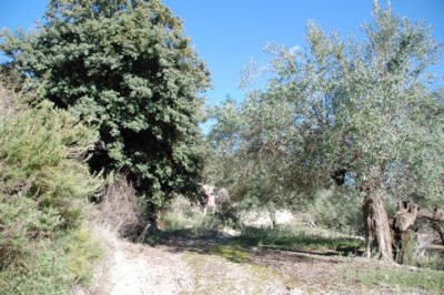26 Wir freuten uns, wieder einen Weg gefunden zu haben.JPG (108.24 KiB) 2073 mal betrachtet Wir kehrten um und freuten uns, den richtigen Weg wieder gefunden zu haben