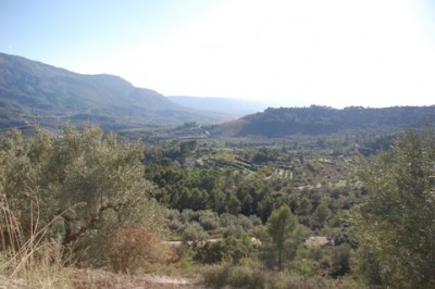 32 aus einer Höhe von 1000 m ins Tal.JPG (107.17 KiB) 2073 mal betrachtet aus einer Höhe von ca. 1000 Metern,