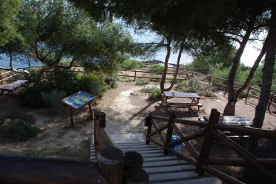 Picknickplatz am Wanderpfad