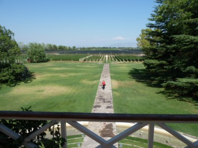 Bodegas Norton, Mendoza, Argentinien, im Hintergrund der Cerro de Plata mit fast 6000 Metern Höhe