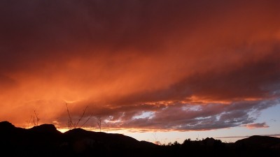 P1230010.JPG