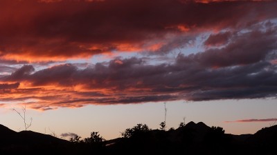 P1230027.JPG