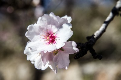 _MG_7080.jpg